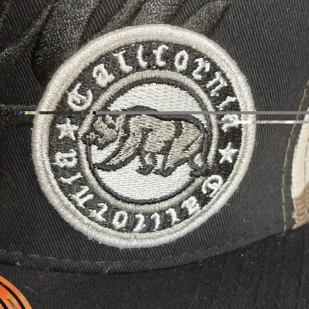 Top Level this cap